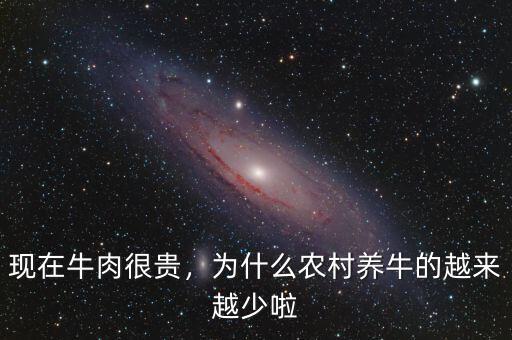 現(xiàn)在牛肉很貴，為什么農(nóng)村養(yǎng)牛的越來越少啦