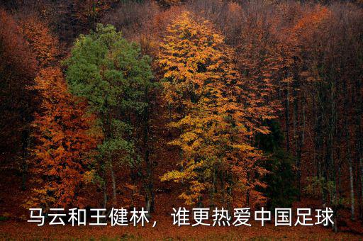 馬云和王健林，誰(shuí)更熱愛(ài)中國(guó)足球