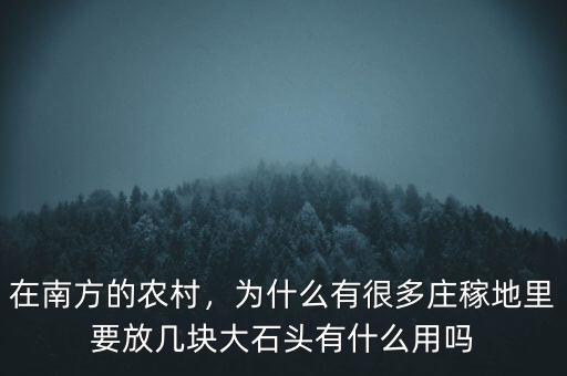 在南方的農(nóng)村，為什么有很多莊稼地里要放幾塊大石頭有什么用嗎