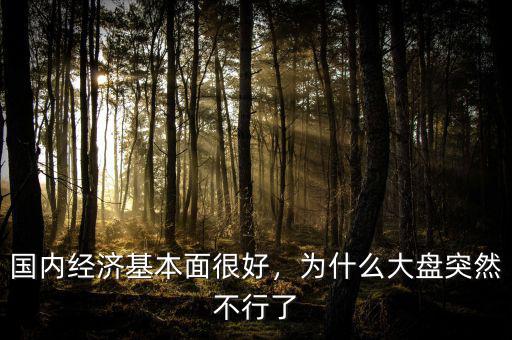 國內(nèi)經(jīng)濟(jì)基本面很好，為什么大盤突然不行了