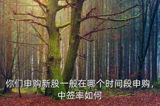 你們申購新股一般在哪個時間段申購，中簽率如何