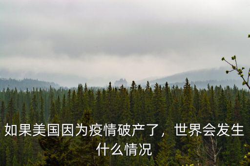 如果美國(guó)因?yàn)橐咔槠飘a(chǎn)了，世界會(huì)發(fā)生什么情況