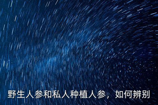 野生人參和私人種植人參，如何辨別