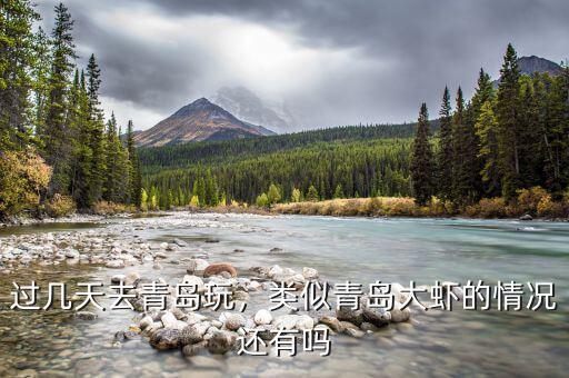 過(guò)幾天去青島玩，類(lèi)似青島大蝦的情況還有嗎