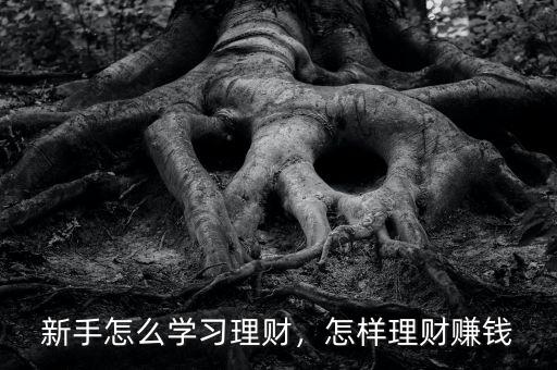 新手怎么學(xué)習(xí)理財，怎樣理財賺錢