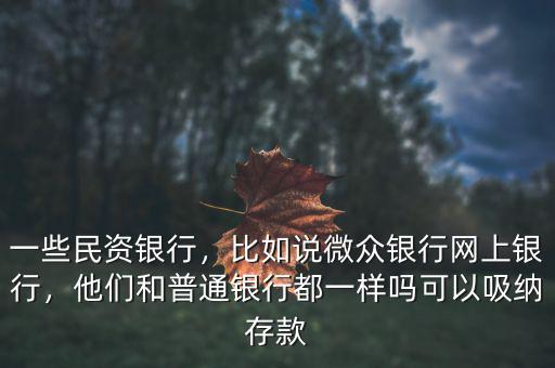 一些民資銀行，比如說微眾銀行網(wǎng)上銀行，他們和普通銀行都一樣嗎可以吸納存款