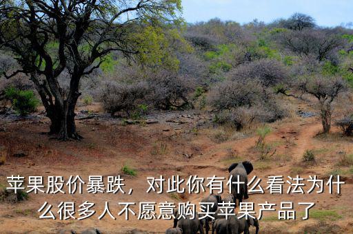 蘋果股價(jià)暴跌，對(duì)此你有什么看法為什么很多人不愿意購買蘋果產(chǎn)品了