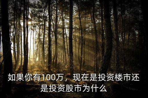 如果你有100萬(wàn)，現(xiàn)在是投資樓市還是投資股市為什么