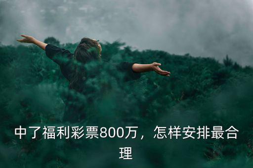中了福利彩票800萬(wàn)，怎樣安排最合理
