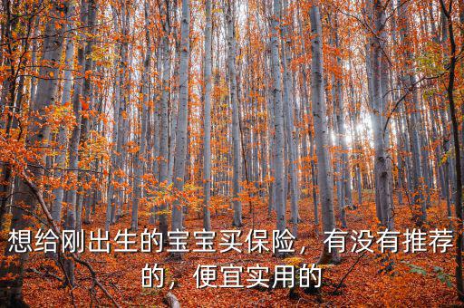 想給剛出生的寶寶買保險，有沒有推薦的，便宜實(shí)用的