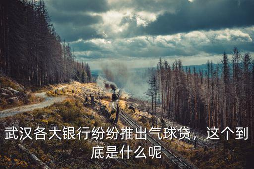 武漢各大銀行紛紛推出氣球貸，這個到底是什么呢