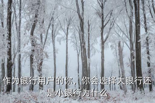 作為銀行用戶的你，你會選擇大銀行還是小銀行為什么