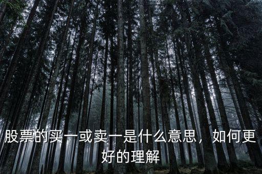 股票的買一或賣一是什么意思，如何更好的理解