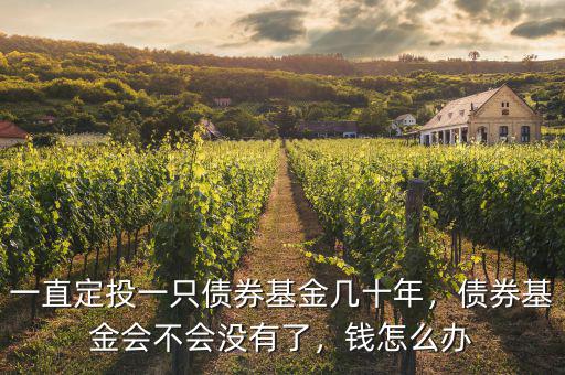 一直定投一只債券基金幾十年，債券基金會不會沒有了，錢怎么辦