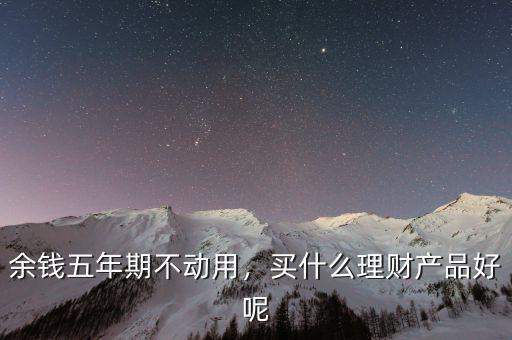 余錢(qián)五年期不動(dòng)用，買(mǎi)什么理財(cái)產(chǎn)品好呢