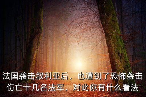 法國襲擊敘利亞后，也遭到了恐怖襲擊傷亡十幾名法軍，對此你有什么看法