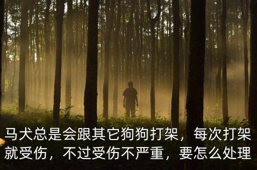 馬犬總是會跟其它狗狗打架，每次打架就受傷，不過受傷不嚴(yán)重，要怎么處理
