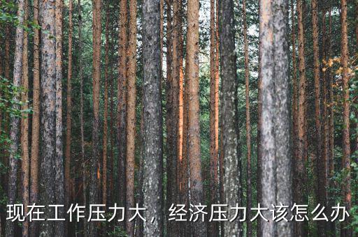 現(xiàn)在工作壓力大，經(jīng)濟(jì)壓力大該怎么辦