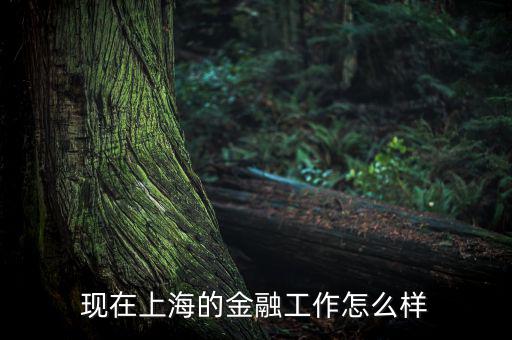 上?；バ沤鹑谠趺礃?上海立信會(huì)計(jì)金融學(xué)院怎么樣