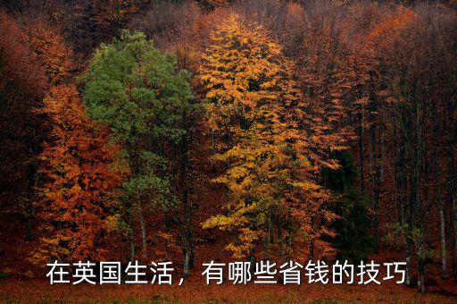 在英國生活，有哪些省錢的技巧
