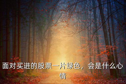 面對(duì)買(mǎi)進(jìn)的股票一片綠色，會(huì)是什么心情