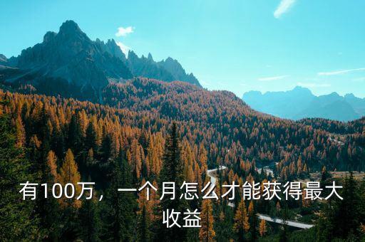 有100萬，一個(gè)月怎么才能獲得最大收益