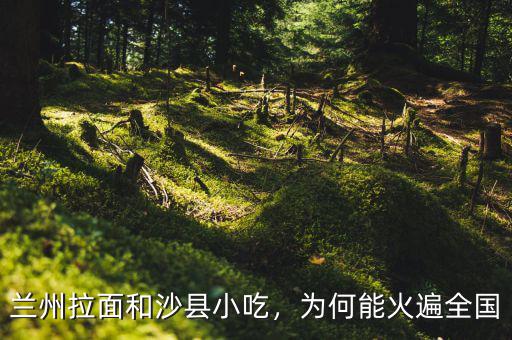 蘭州拉面和沙縣小吃，為何能火遍全國