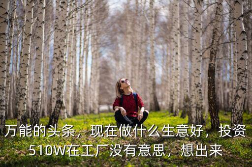 萬能的頭條，現(xiàn)在做什么生意好，投資510W在工廠沒有意思，想出來