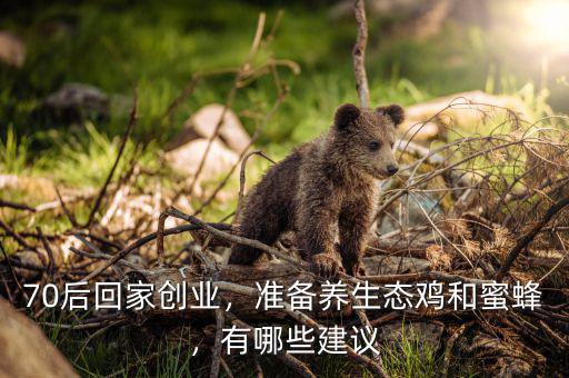 70后回家創(chuàng)業(yè)，準(zhǔn)備養(yǎng)生態(tài)雞和蜜蜂，有哪些建議