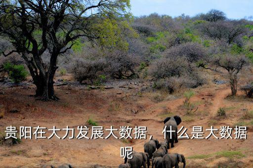 貴陽(yáng)在大力發(fā)展大數(shù)據(jù)，什么是大數(shù)據(jù)呢