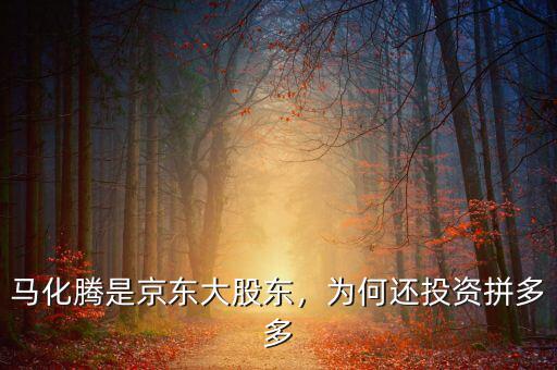 馬化騰是京東大股東，為何還投資拼多多