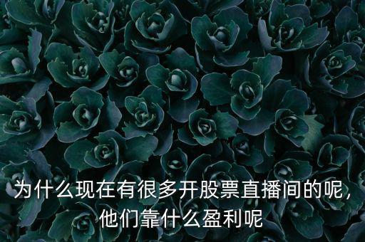 為什么現(xiàn)在有很多開股票直播間的呢，他們靠什么盈利呢