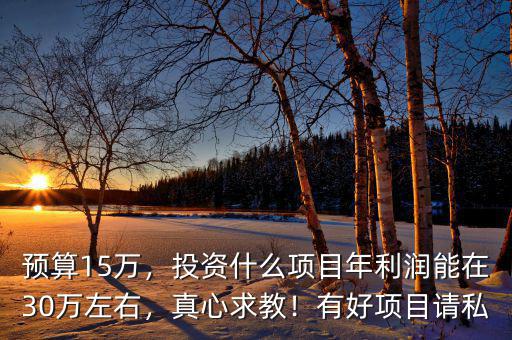 預(yù)算15萬，投資什么項目年利潤能在30萬左右，真心求教！有好項目請私