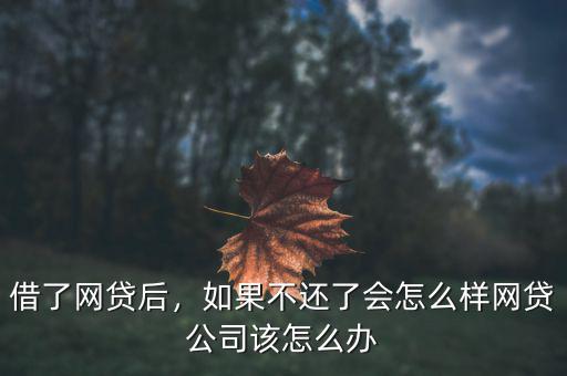 借了網(wǎng)貸后，如果不還了會(huì)怎么樣網(wǎng)貸公司該怎么辦