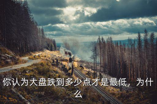 你認(rèn)為大盤跌到多少點(diǎn)才是最低，為什么