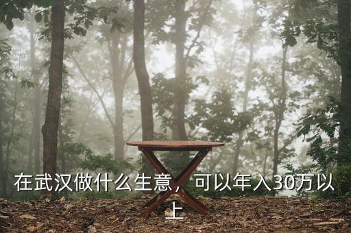 在武漢做什么生意，可以年入30萬以上