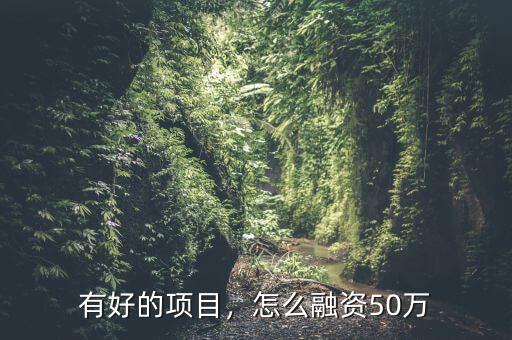 有好的項目，怎么融資50萬