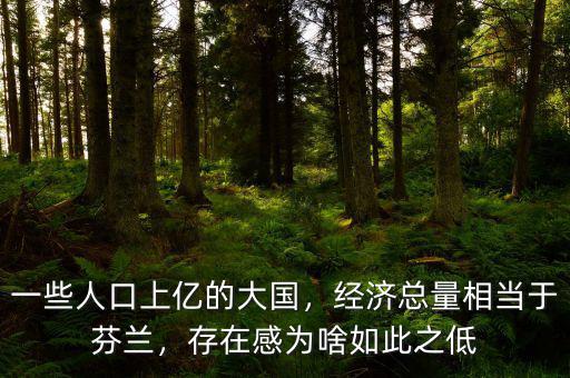 一些人口上億的大國，經(jīng)濟(jì)總量相當(dāng)于芬蘭，存在感為啥如此之低
