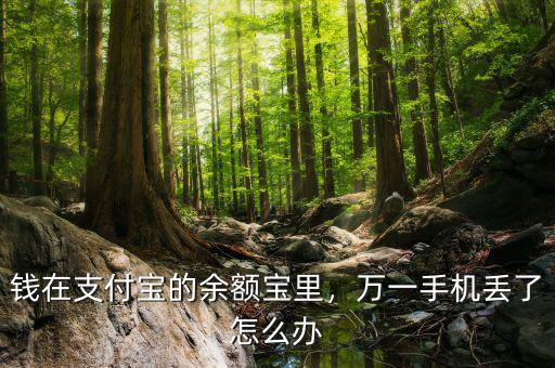 錢在支付寶的余額寶里，萬一手機丟了怎么辦