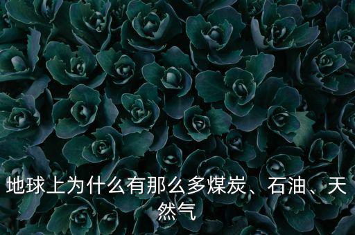 地球上為什么有那么多煤炭、石油、天然氣