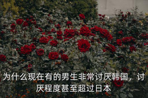 為什么現在有的男生非常討厭韓國，討厭程度甚至超過日本