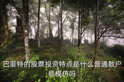 巴菲特的股票投資特點(diǎn)是什么普通散戶(hù)能模仿嗎