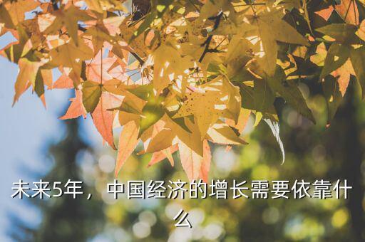 未來(lái)5年，中國(guó)經(jīng)濟(jì)的增長(zhǎng)需要依靠什么