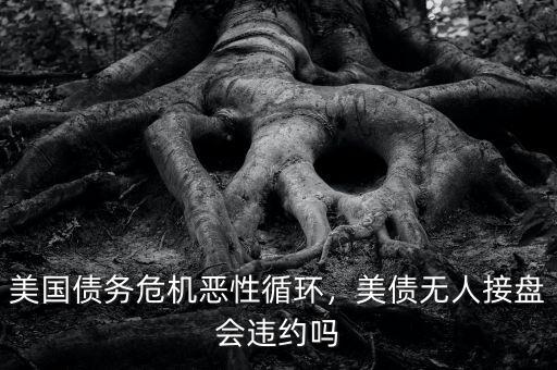 美國(guó)債務(wù)危機(jī)惡性循環(huán)，美債無(wú)人接盤(pán)會(huì)違約嗎