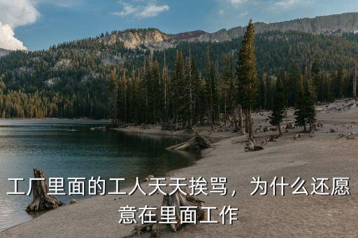 工廠里面的工人天天挨罵，為什么還愿意在里面工作