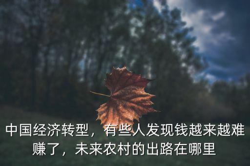 中國經(jīng)濟轉(zhuǎn)型，有些人發(fā)現(xiàn)錢越來越難賺了，未來農(nóng)村的出路在哪里