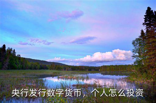 央行發(fā)行數(shù)字貨幣，個人怎么投資