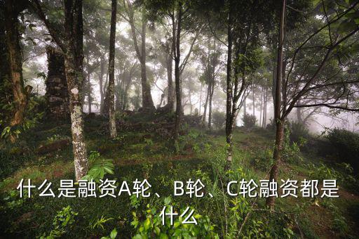 什么是融資A輪、B輪、C輪融資都是什么