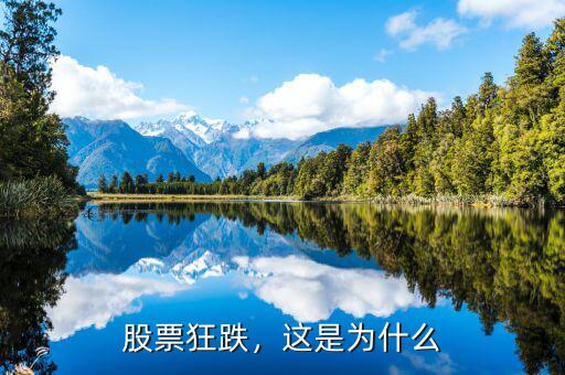 股票狂跌，這是為什么