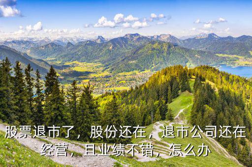 股票退市了，股份還在，退市公司還在經(jīng)營，且業(yè)績不錯，怎么辦